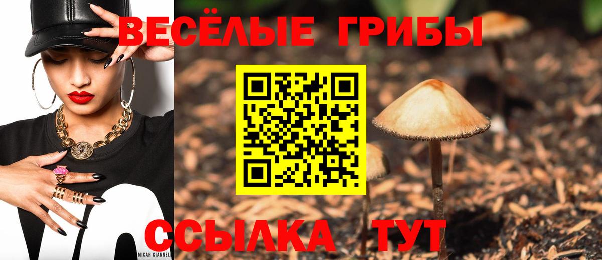 Псилоцибиновые грибы ЛСД  Вход с VPN  Рославль 